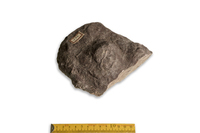 F 01274
<br/>
<br/>
<em></em>